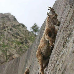 Meet your Posher, Birisi